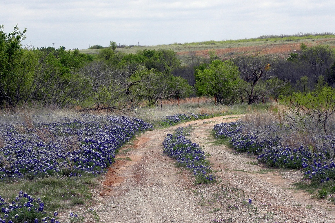 Lake Kickapoo | Journey of Faith Wichita Falls